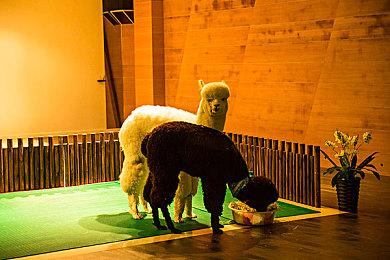 游戏陪玩、主播…这些职业也能考证了！国内「游戏职业技能认定平台」上线 